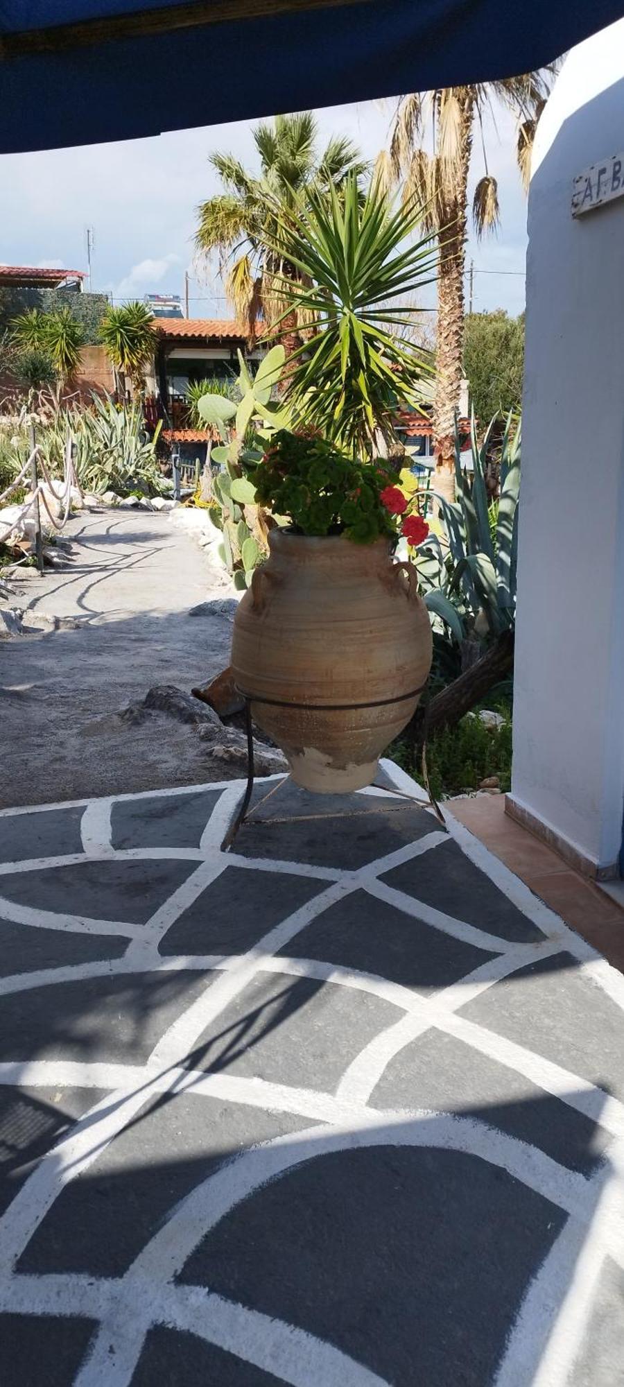 דירות Ambelakia Kynosoura'S Sea View מראה חיצוני תמונה